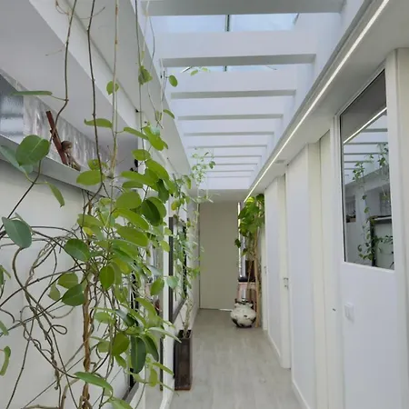 Casa Alba - Vitorino Dos Piaes Navio
