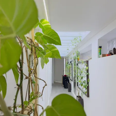 Bauernhof Casa Alba - Vitorino Dos Piaes