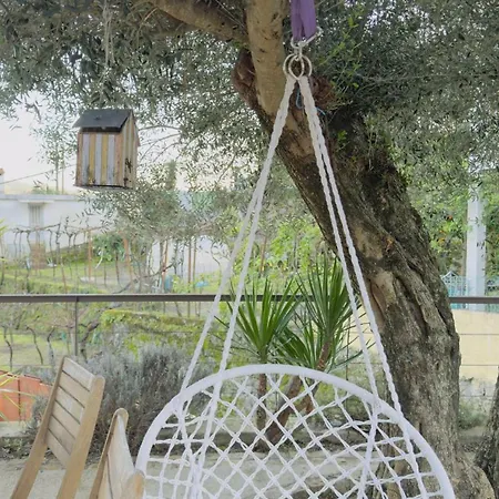 Casa Alba - Vitorino Dos Piaes Bauernhof