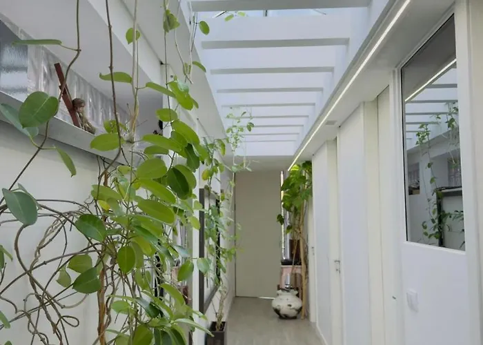 Reveillon 2026 Casa Los Padel - Ponte De Lima Navio