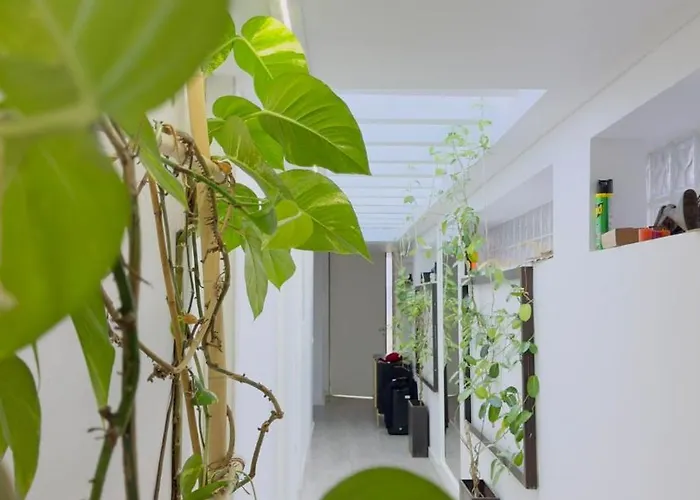 Séjour à la ferme Réveillon 2026 CASA LOS PADEL - Vitorino dos Piães